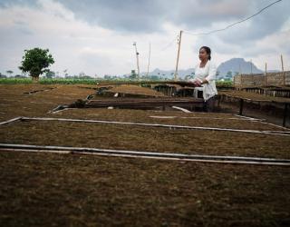 Kios Kecil, Aroma Besar: Revolusi Sunyi dari Temanggung