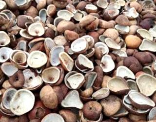 Gemerlap Selayar Jadi Langkah Strategis Tingkatkan Ekonomi Daerah