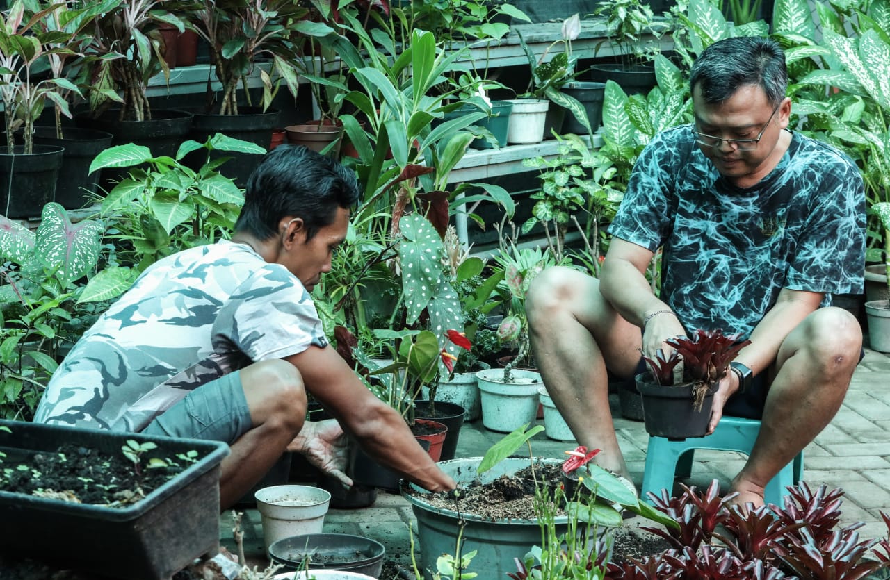 Romo Jo (dua kiri) merawat tanaman di Kebun Gereja Katolik Kelahiran Santa Perawan Maria, Surabaya. (Foto: Robertus Rizky)