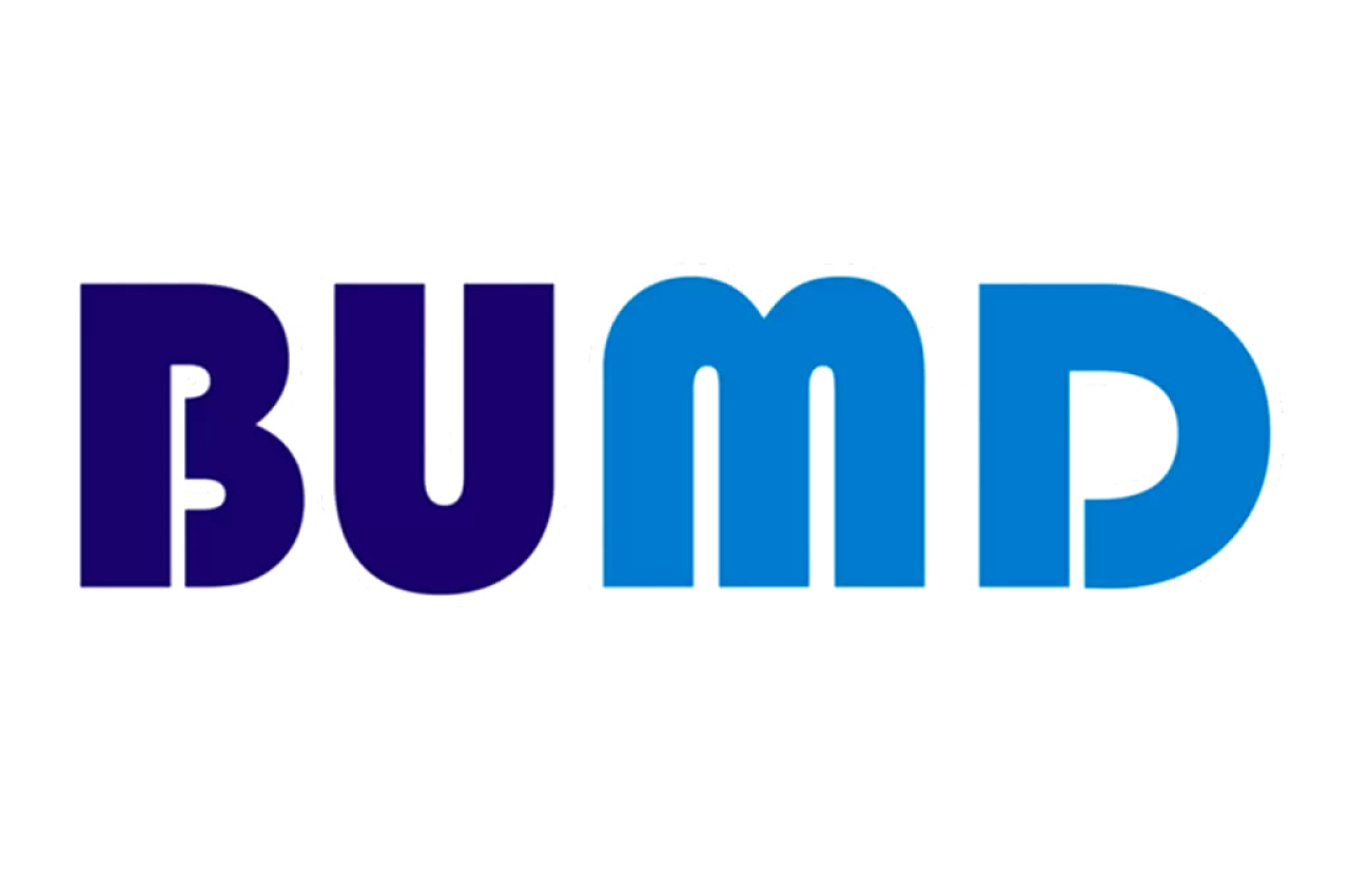 BUMD bisa menjadi pilar utama pembangunan daerah yang berkeadilan. Foto ist