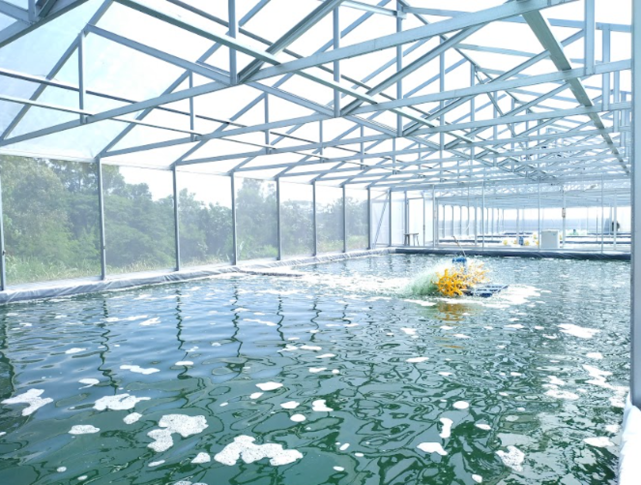 Semen Merah Putih Kembangkan Mikroalga, Solusi Ramah Lingkungan Industri Konstruksi