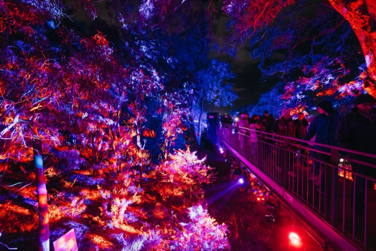 Lightscape Perth 2026 Sulap Kings Park Menjadi Destinasi Musim Dingin Penuh Cahaya dan Keajaiban
