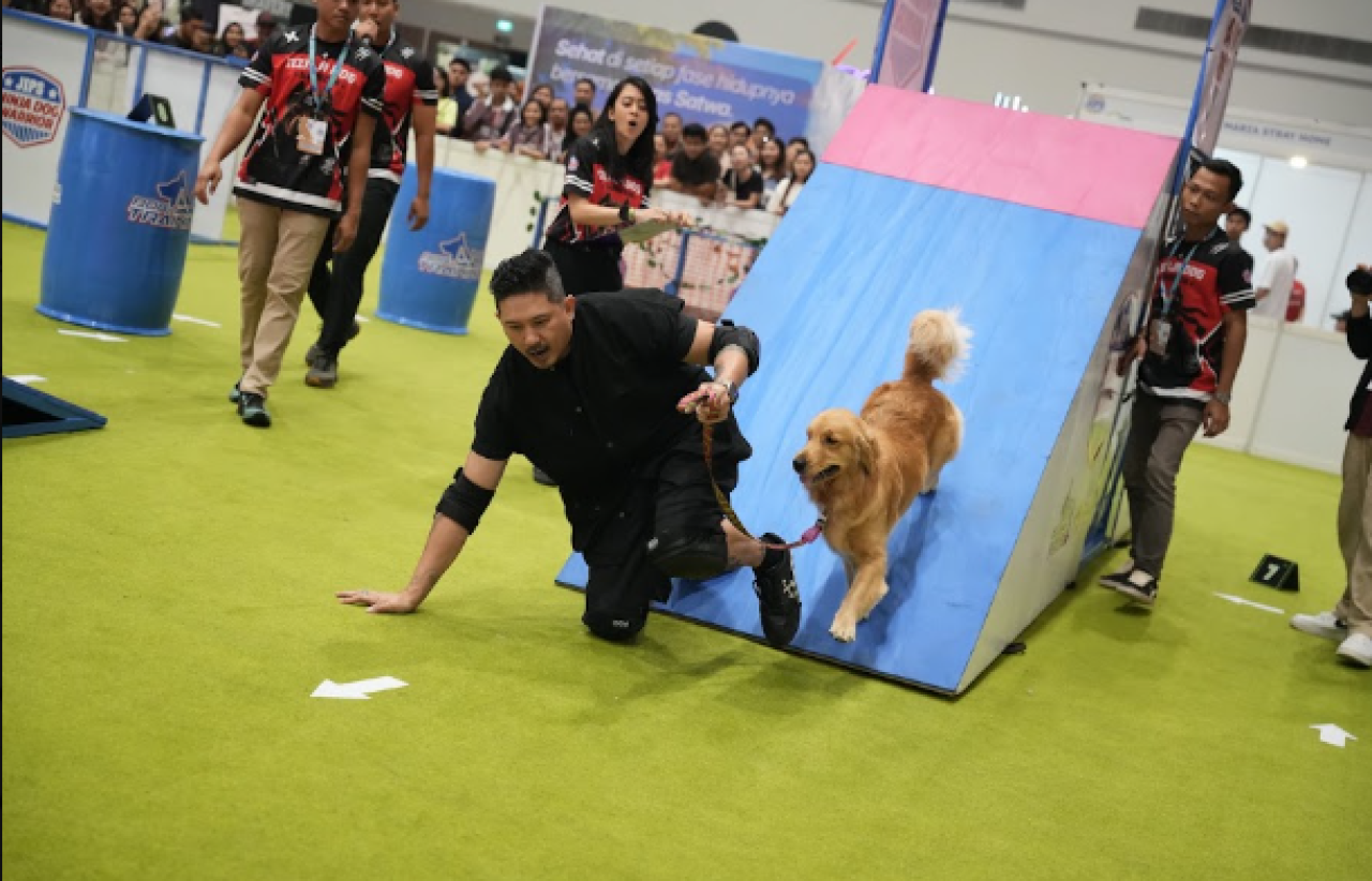Jakarta International Pet Show (JIPS) 2027 Siap Kembali Bawa Pengalaman Pet Exhibition Lebih Interaktif